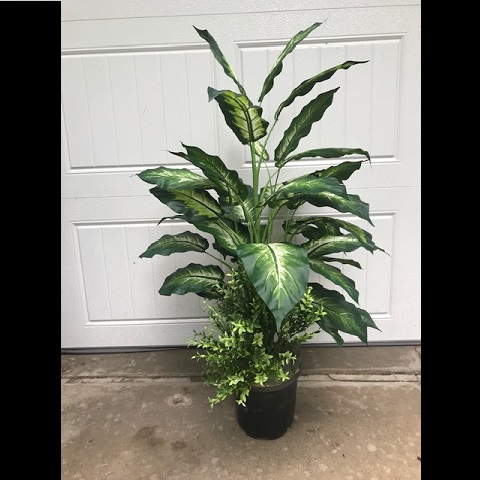 Marble Dieffenbachia One-Of-A-Kind - Artificial Trees & Floor Plants - artificial floor plants for rent